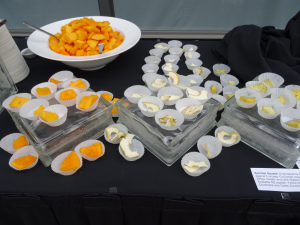Samples of geneticially engineered foods including the Arctic Apple, the Rainbow Papaya, and summer squash