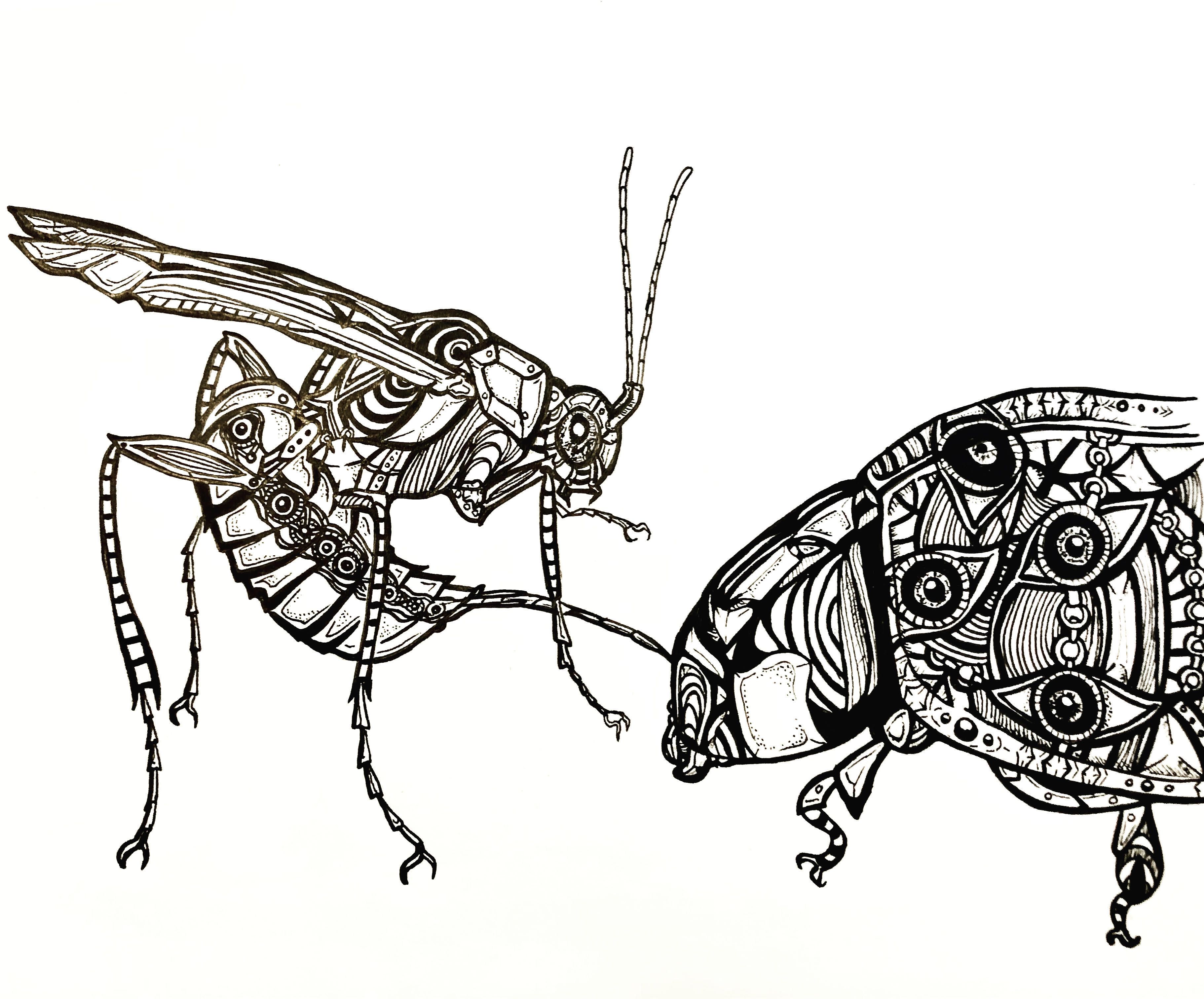 a line drawing of a wasp and a ladybug